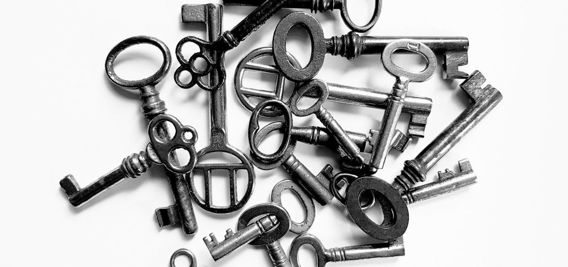 multiple skeleton keys