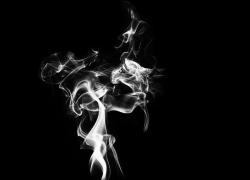 g3e9c111256076c56d8e3a46b92c46a39c3738532ae03b65bb4ce9f8a953ced82f6982455f4e426962c0bb65ebc4410d3886ce6bd2af94f668c8145b77a05ce46_1280.jpg
