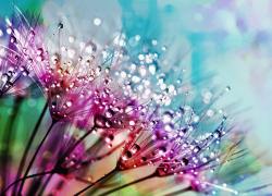 g981043eb02f3653682db655aaf12b98c1c7e42d30632b0d160b58ca792ffa018d9a846f612e52a61f40b48f8a53b4bf7c6b407bac3ec32f03895fe6fad73481a_1280.jpg